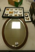 Wooden framed Oval Wall Mirror & Two Framed Sets of Mounted Butterflies(3)