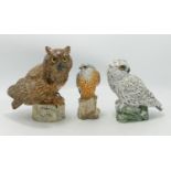 Three Mack Branded Pottery birds: including Owls & Kestrel (3)