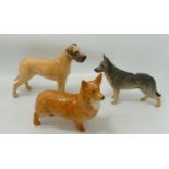 Beswick large Corgi: 1299B together with a Great Dane 968 and Alsatian matt (3)