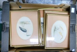 5 x 19th century hand coloured bird prints: Together with one other.