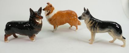 Beswick Dogs to include: Corgi Black Prince 1299a( repair to ear), Collie & Alsatian(3)