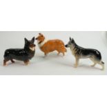 Beswick Dogs to include: Corgi Black Prince 1299a( repair to ear), Collie & Alsatian(3)