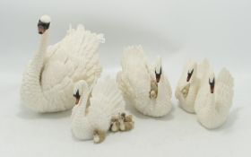 Leonardo Collection group of Four Resin Swans(4):