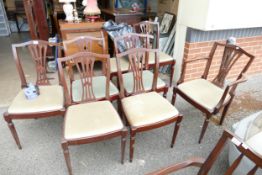 Set of 8 Upholstered Dinning Chairs: inc 2 carvers