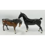 Beswick Beswick Black Hackney Horse 1361(tiny chip to ear) & Mare 1812(Chip to ear)(2):