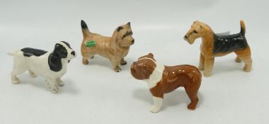 Beswick Dogs to include: Cairn Terrier 2112, Cocker Spaniel 1754, Bulldog 1731 & Lakeland Terrier