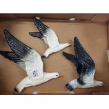 Beswick Set of Three Flying Seagull Wall Plaques: models 922-1, 922-2 & 922-3
