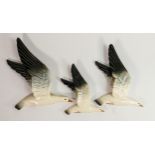 Beswick set of three flying Seagull wall plaques: Models 922-1, 922-2 & 922-3 (3)