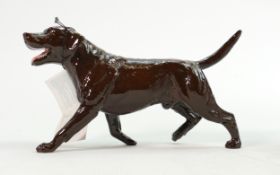 Beswick walking chocolate Labrador 3062B: Collectors Club Special