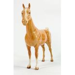 Beswick rare Palomino Hackney horse 1361: Early light palomino colours.