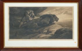 Herbert Dicksee etching THE ALARM signed proof on vellum: Alert lion with lioness & cub behind.