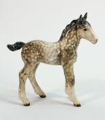 Beswick Shire foal 951 in scarce rocking horse grey colourway: Right ear has a clean break at tip
