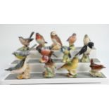 A collection of small Beswick birds to include: Robin, Goldfinch, Greenfinch, Blue tit, Whitethroat,