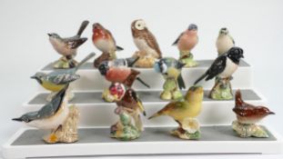 A collection of small Beswick birds to include: Robin, Goldfinch, Greenfinch, Blue tit, Whitethroat,