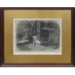 Herbert Dicksee etching ALL HIS TROUBLES BEFORE HIM: A Terrier puppy sitting in a yard. Measuring