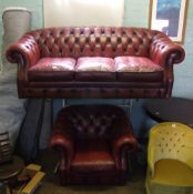 Three seater 'Humpback' Chesterfield sofa: with matching tub/armchair, oxblood red leather (2).