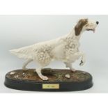 Boxed Beswick English Setter P2021 on ceramic plinth: marked Factory seconds
