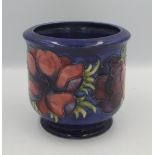 Moorcroft Anemone planter: Height 12.5cm