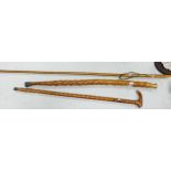 Three Hand Crafted Modern Walking Sticks(3)