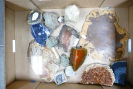 A mixed collection of Natural Minerals & Petrified Wood: