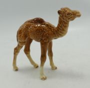 Beswick model of a camel foal 1043: