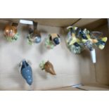 A collection of Beswick birds to include : Robin , Chaffinch, Nuthatch, Wren, Baltimore Orioles (