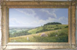 David Morgan sheep in landscape oil on canvas, Zig Zag Hill, Avon. Measuring 34cm x 59cm excluding