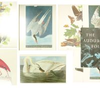The Audobon large size Folio 30 great bird paintings: Text by George Dock. Four prints for the set