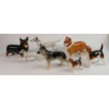 A Collection of Beswick dogs: To include Beswick Dalmatians 961 & 1763, Beagles 2300 & 1939 ,