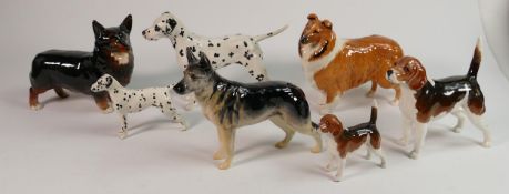 A Collection of Beswick dogs: To include Beswick Dalmatians 961 & 1763, Beagles 2300 & 1939 ,