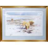 Large David Shepard Print Lone Wanderers of the Artic Ltd Edition, signed on mount, frame size 71