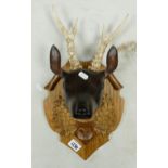 Hand carved wooden plaque of Reindeer with with original antlers