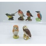 Beswick birds to include Wagtail, Robin, Chaffinch, kingfisher, barn owl and tawny owl (6)