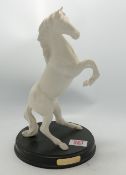 Royal Doulton Matt White Horse Figure Spirit of the Wild on wooden plinth