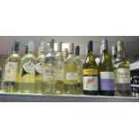 18 bottles of white wine to include Black leaf , Oxford Landing, Gallo family