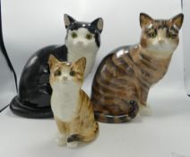 Three Large Cats & Co branded pottery cats & kittens, largest 27cm(3)