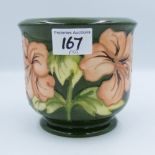 Moorcroft Hibiscus on green ground small planter: height 12cm.