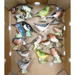 Beswick Small Birds to include Bluetit, Goldfinch 2273, Greenfinch 2105, Chaffinch 981, Robin 980,