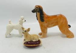 Beswick Afgan Hound 2285, Chihuahua & Poodle 1386(3)