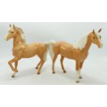 Beswick Palomino Prancing Arab 1261 & Arab 1265(2)