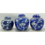 Three 20th Century Chinese Ginger Jars with Prumus Decoration, damaged lids, tallest height 14cm(3)