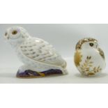Royal Crown Derby Snowy Owl & Aura, both gold stoppered(2)