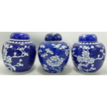Three 20th Century Chinese Ginger Jars with Prumus Decoration, tallest height 15cm(3)