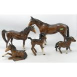 Beswick Arab 1265, Shetland Pony 1034, Foal 915, Foal 728 & Racehorse 701(5)