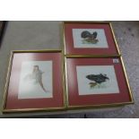 Three watercolours of birds by Tom Boughey 1984. 39cm x 33cm