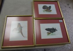 Three watercolours of birds by Tom Boughey 1984. 39cm x 33cm