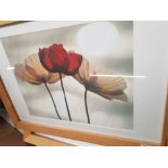 4 x Ikea framed prints, largest measures 79cm x 59cm (4).