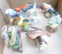 A collection of Crown Staffordshire matt figures of birds including Tanager , Chaffinch,
