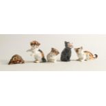 Royal Doulton kittens on hind legs HN2582, looking up HN2584, licking front paw HN2583, lucky K12