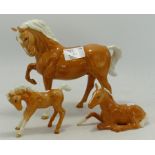 Beswick Palomino horse Head Tucked (leg re-stuck)and two Palomino Foals (one chip to hoof). (3)